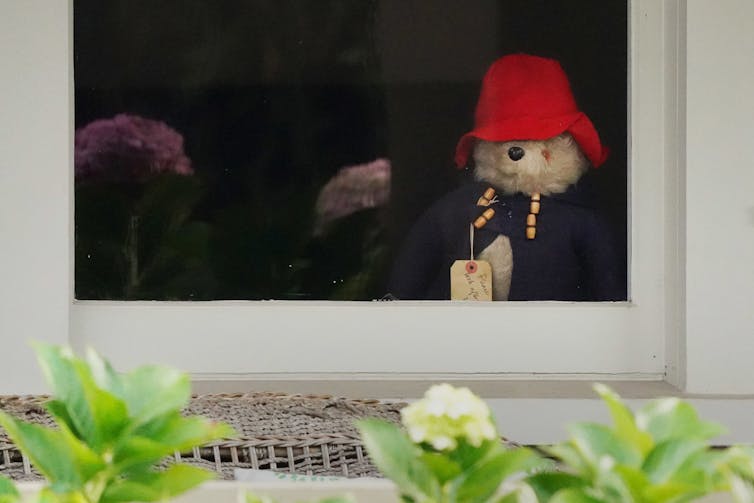 teddy bear in window
