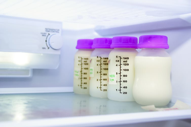 Bottles of breast milk in a fridge.