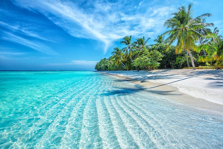 A sunny tropical beach.