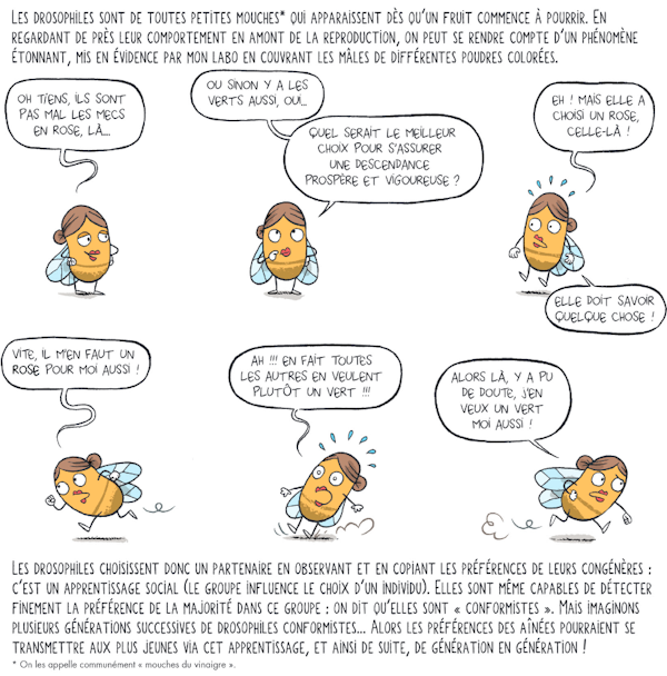 Cette image a été supprimée. Pour des raisons de sécurité, seules les images du domaine local sont autorisées. Image retirée.