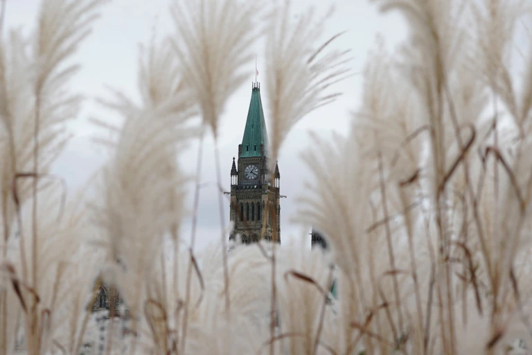The Peace Tower on Parliament Hill is seen through a shroud of long grasses.