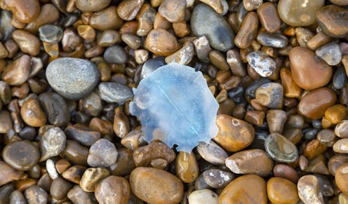 Microplastics are in the air we breathe and in Earth’s atmosphere, and they affect the climate