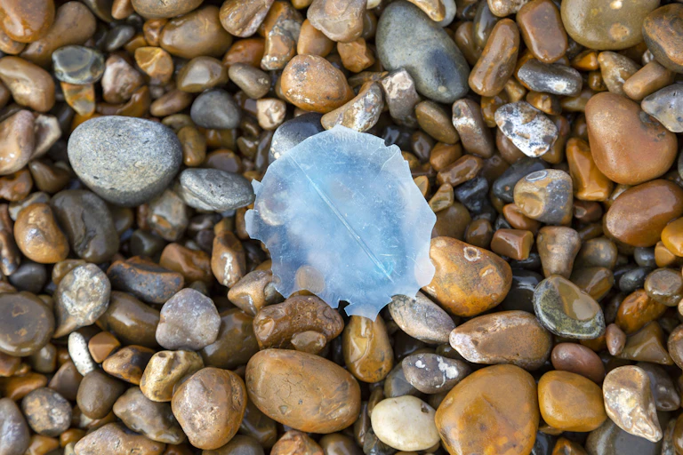 A piece of microplatics among small pebbles