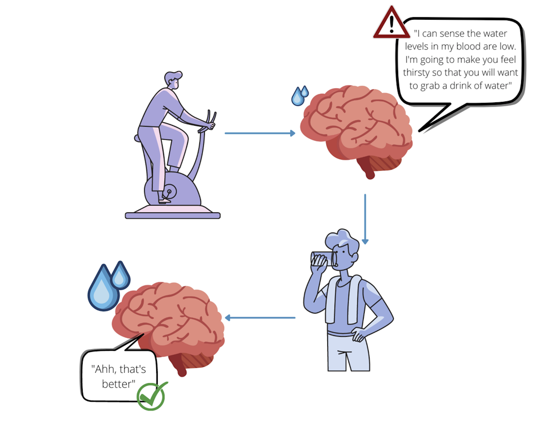 Curious Kids How Do We Feel Thirsty curious-kids-how-do-we-feel-thirsty