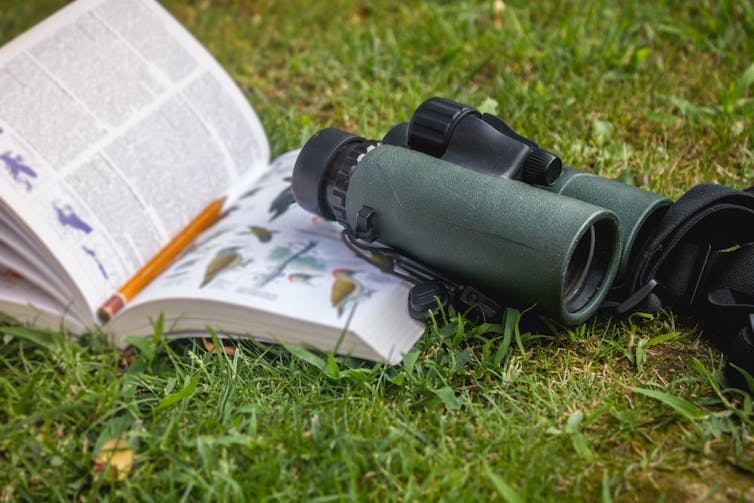 binoculars and birdwatching guide