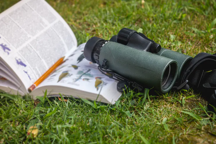 binoculars and birdwatching guide