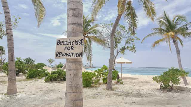 A sign on a palm tree reading 'Beach close for renovation'