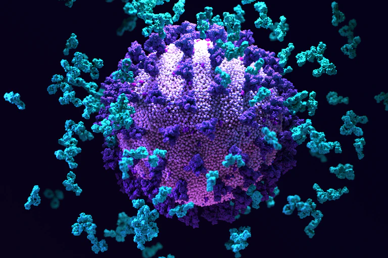 Antibodies binding to SARS-C0V-2