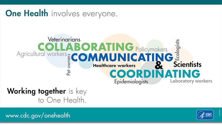 Infographic naming specialties that contribute to One Health.