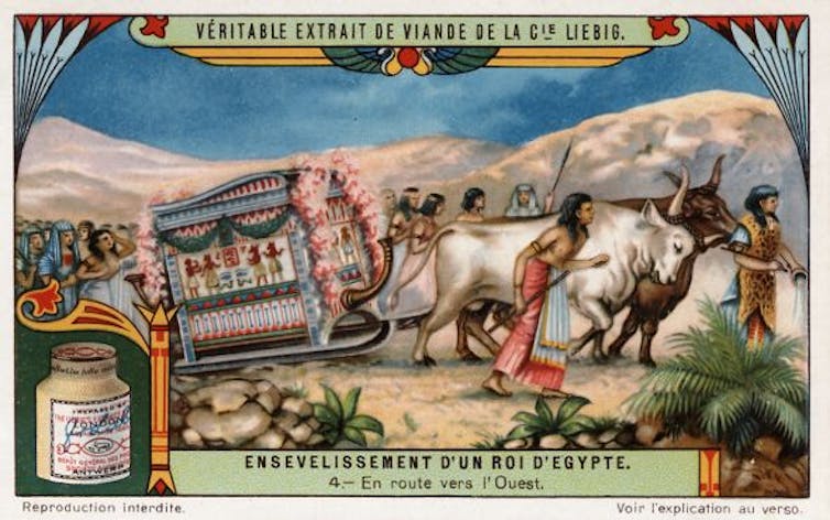 A wagon being pulled by two oxen with people walking alongside in a historical protein ad