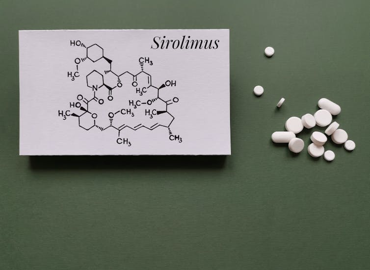 Image of the structural chemical formula of sirolimus (rapamycin) molecule with white tablets and pills.