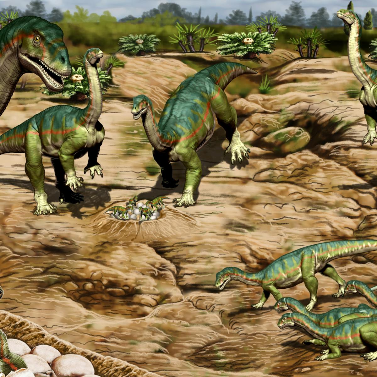 A Social Species Newly Discovered Fossils Show Early Dinosaurs Lived In Herds