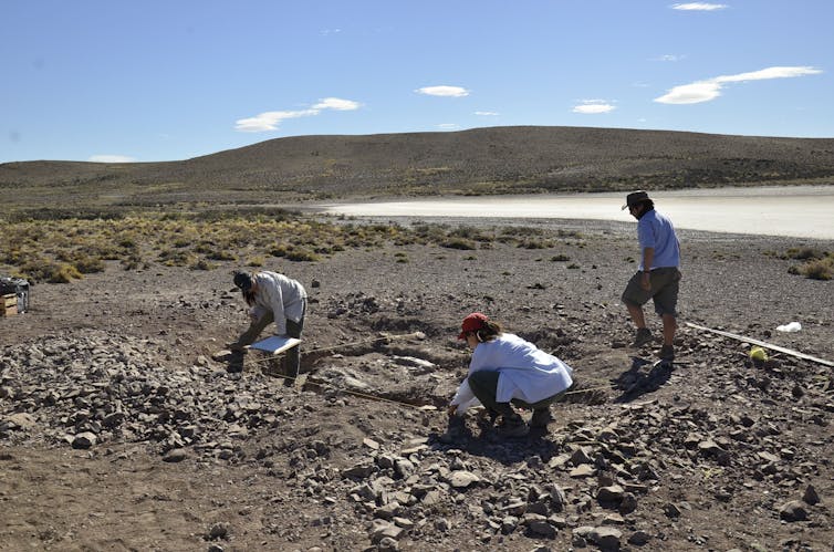 Three people working on the skeleton dig in Patagonia.