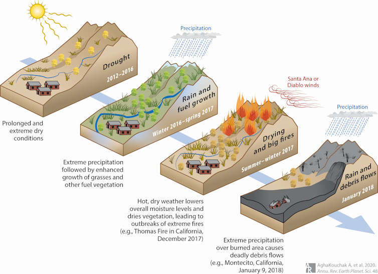 Illustrations of four stages in a cascading disaster, from drought to spring growth to fires to mudslides.