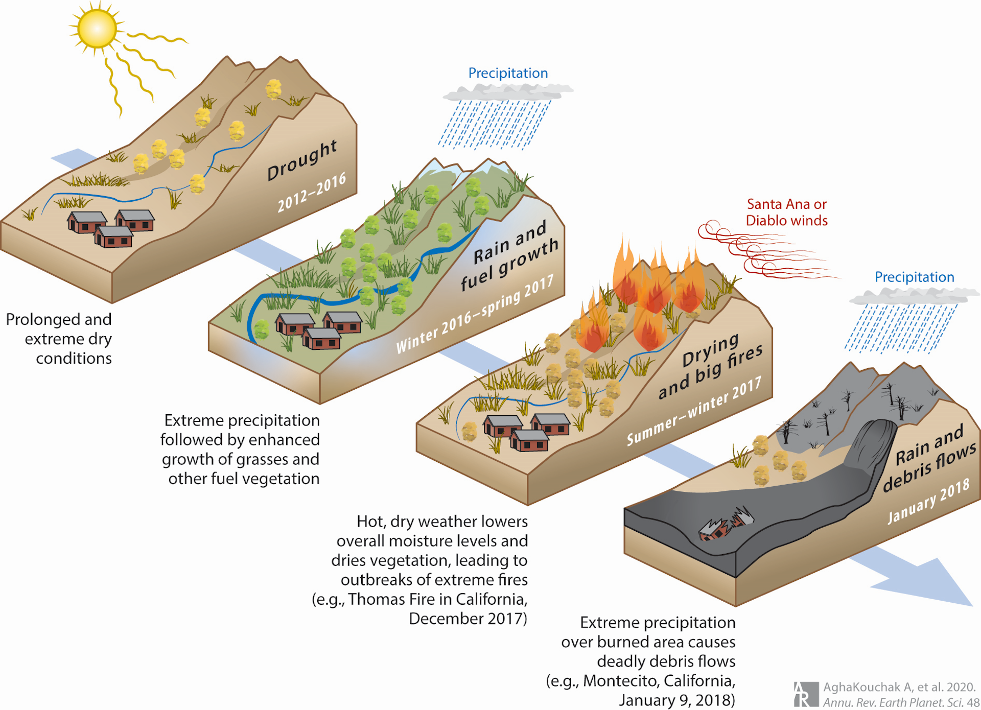 Illustrations of four stages in a cascading disaster, from drought to spring growth to fires to mudslides