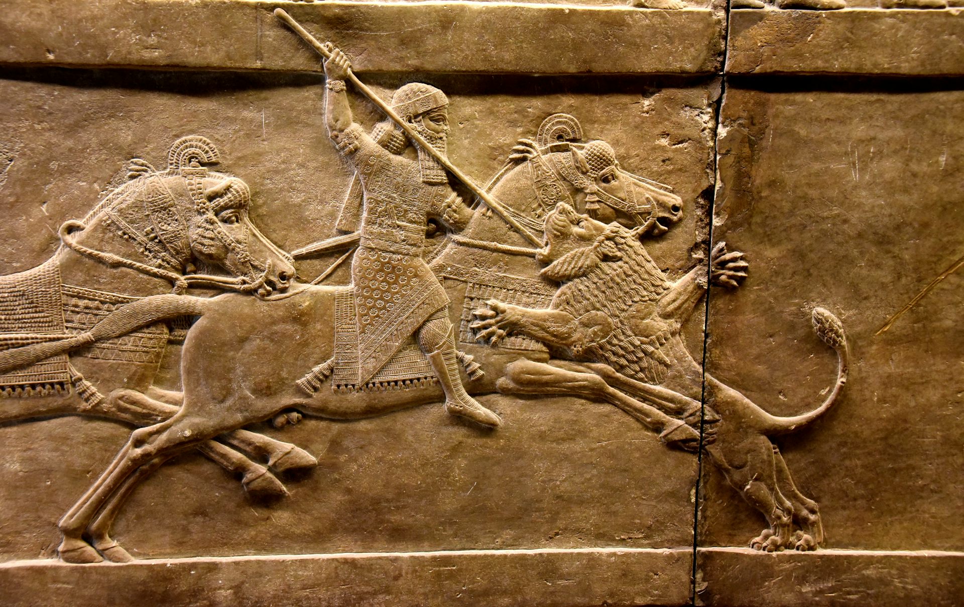 The Horse Bit and Bridle Kicked Off Ancient Empires – a New Giant Dataset Tracks the Societal Factors That Drove Military Technology