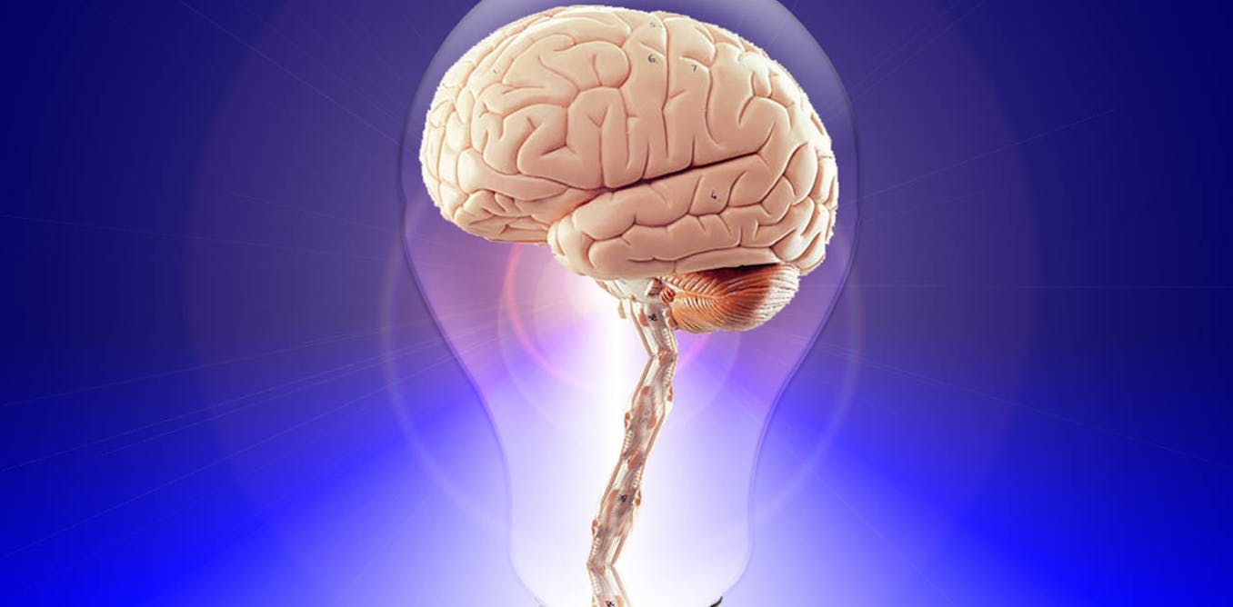 The neurochemistry of power has implications for political change