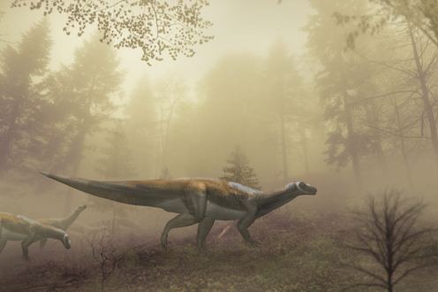Australia's oldest dinosaur was a peaceful vegetarian, not a fierce predator