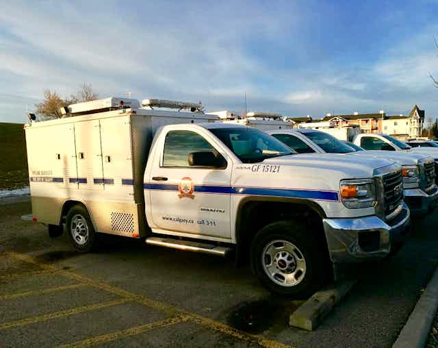 White City of Calgary animal control truck