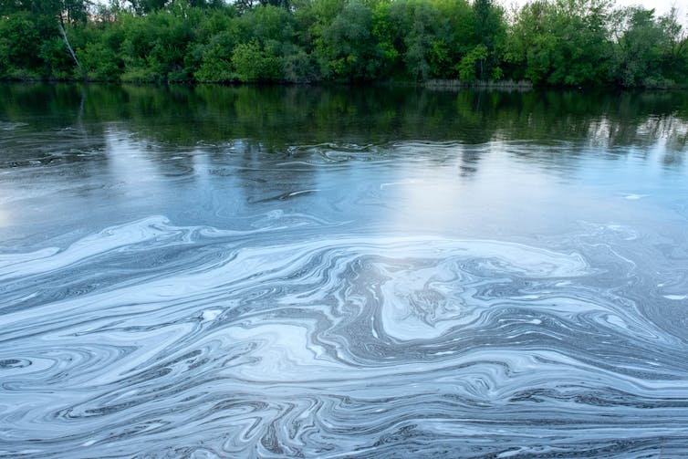 A river in summer with milky water pollution.