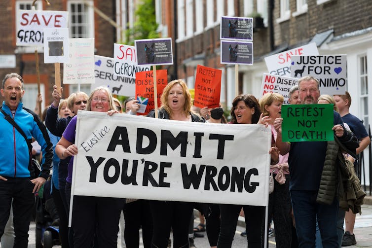 Protesters brandish signs in favour of preventing the killing of Geronimo the alpaca.