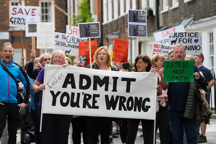 Protesters brandish signs in favour of preventing the killing of Geronimo the alpaca.