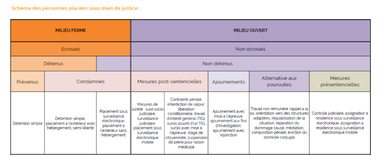 Tableau typologique des « personnes placées sous-main de justice ».