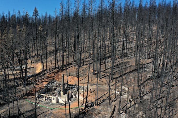 أشجار محترقة على منحدر تل بدون إبر ومنزل دمرته النيران.  الأرض عارية.