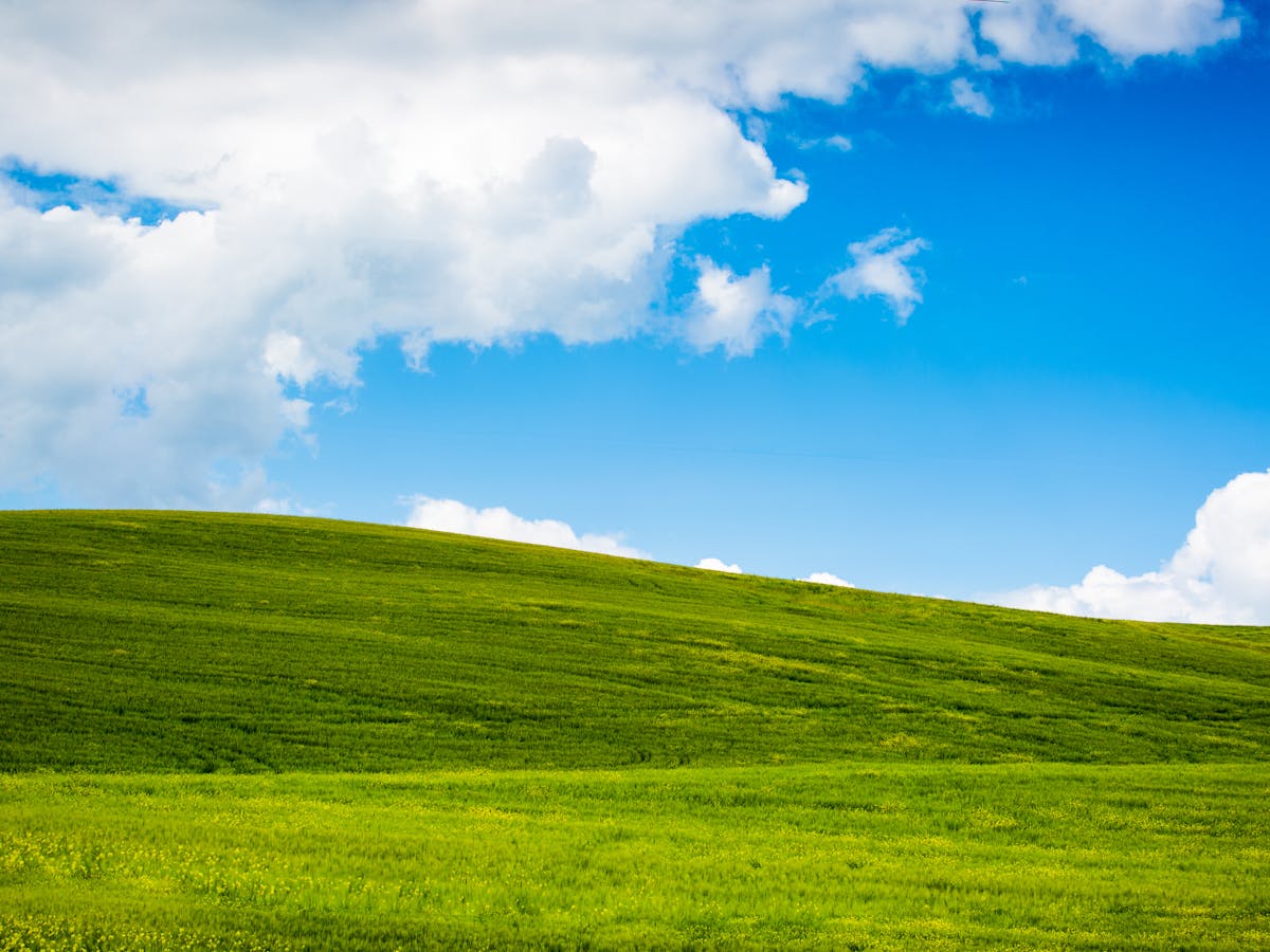 Windows Xp Turns 20 Microsoft S Rise And Fall Points To One Thing Don T Fix What Isn T Broken Windows Xp Turns 20 Microsoft S Rise And Fall Points To One Thing Don T Fix What Isn T Broken