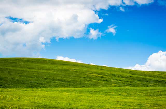 Windows XP green hills desktop