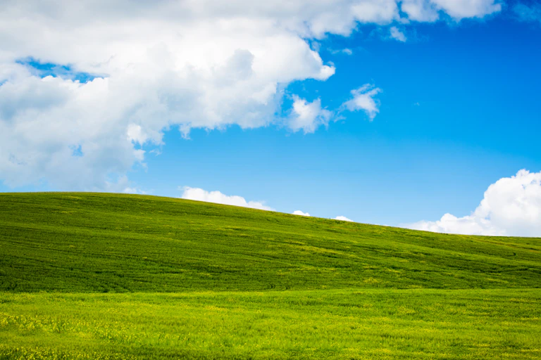 Windows XP green hills desktop