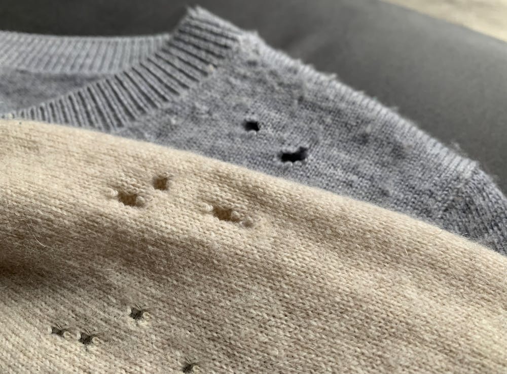 How Do I Stop Moths Eating My Clothes?