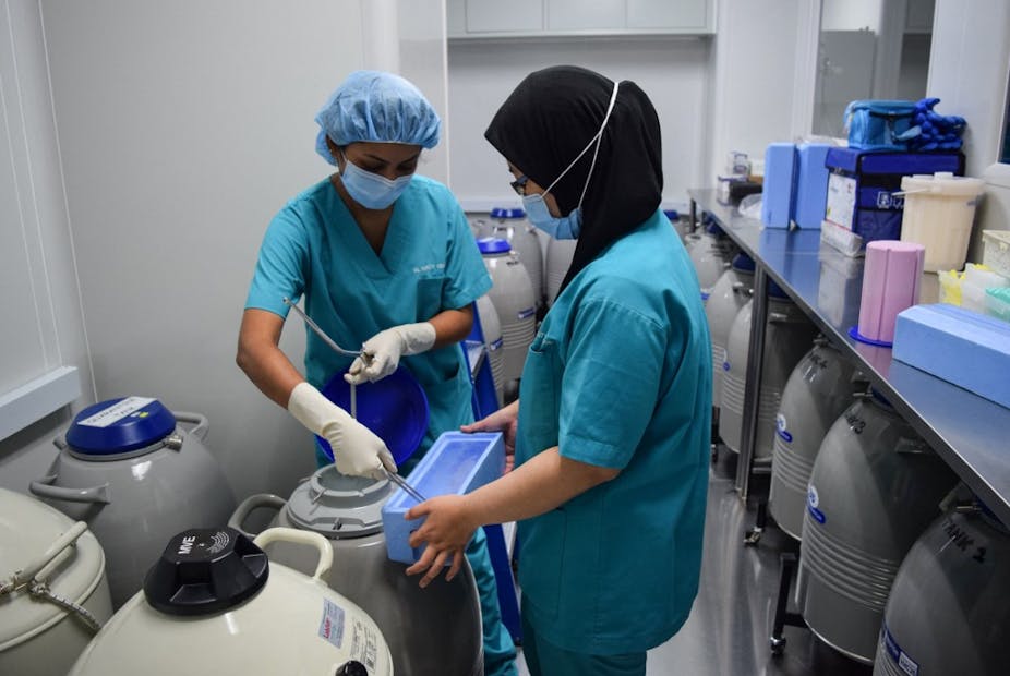 Staff at the KL Fertility Centre in Kuala Lumpur demonstrate part of the egg freezing procedure.