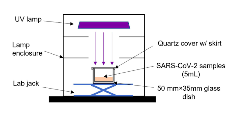 Diagram showing a lamp over a water sample containing coronavirus.