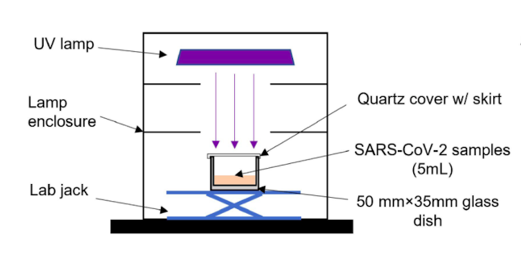 A diagram showing a lamp above a sample of water containing the coronavirus.