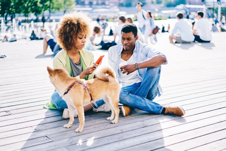a woman holding a phone sits on a boardwalk with a man and a dog