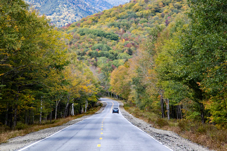 A car drive through a mostly green forest with some faint yellows and reds.