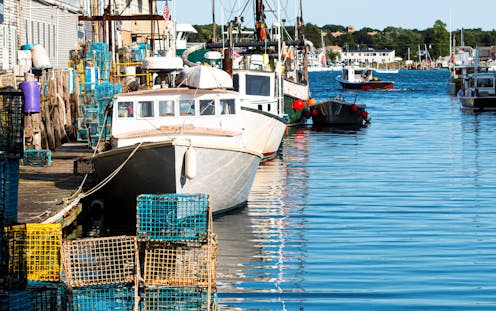 How much do marine heatwaves cost? The economic losses amount to billions and billions of dollars
