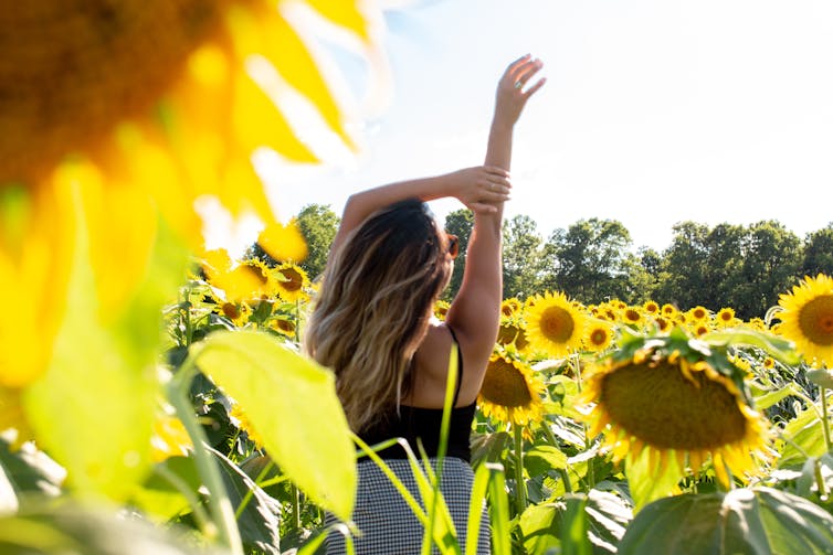 woman in sunflower field