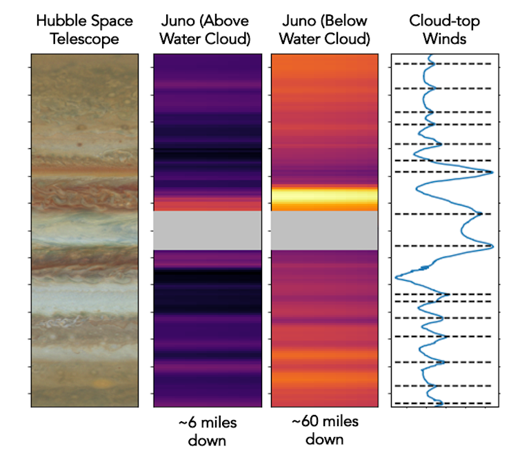 Graphs of the belts and zones observed in microwave light.