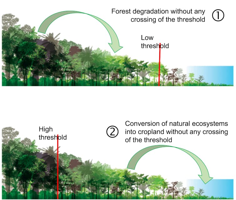 Illustration showing effects of threshold selection on perceptions of deforestation and degradation.