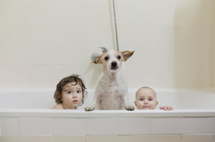 two kids and dog bathing in tub