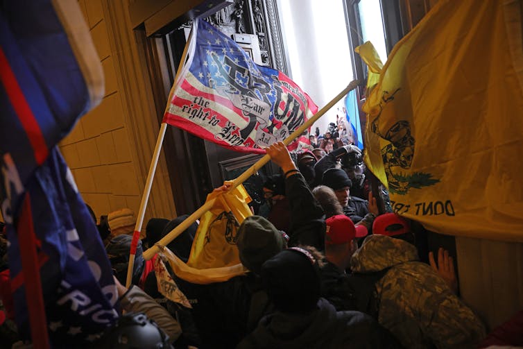 Protesters brandishing flags reading 'Trump' and 'Don't Tread on me'