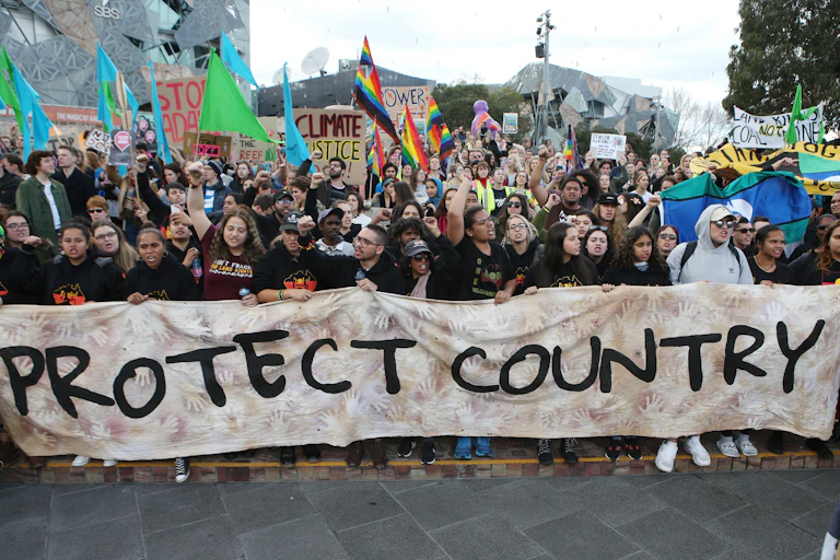 A large group of protesters hold a banner that reads 'protect country'.