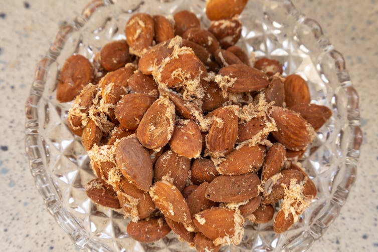 A pile of almonds is seen with thin, silky webbing over it.