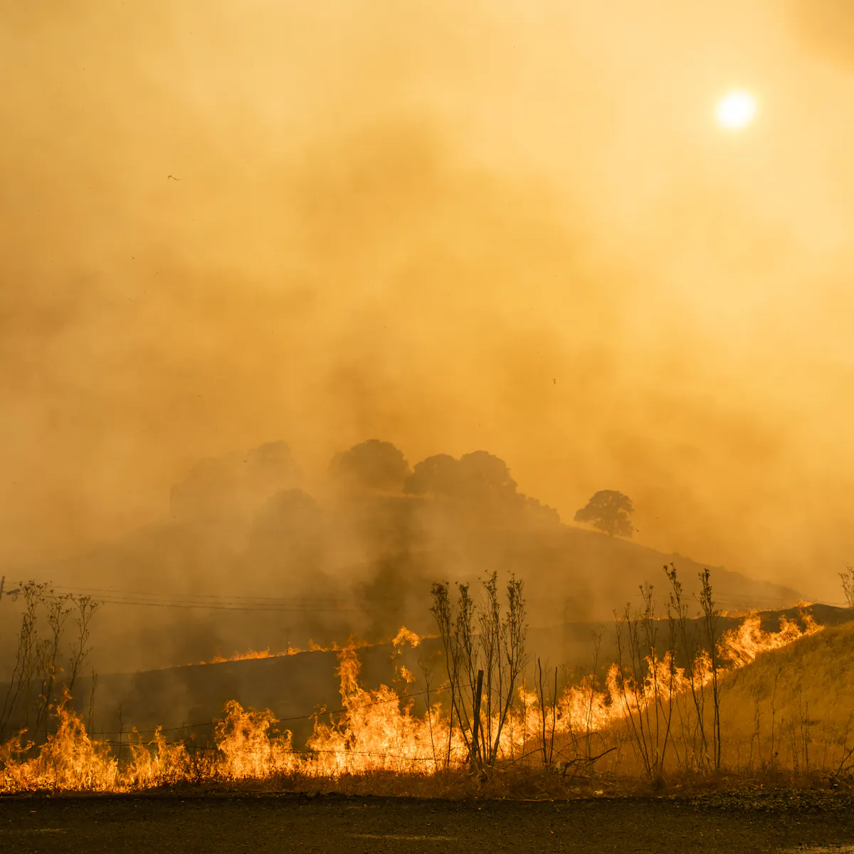 Neurotoxins In The Environment Are Damaging Human Brain Health And More Frequent Fires And Floods May Make The Problem Worse Neurotoxins In The Environment Are Damaging Human Brain Health And More Frequent Fires And Floods May Make The Problem Worse