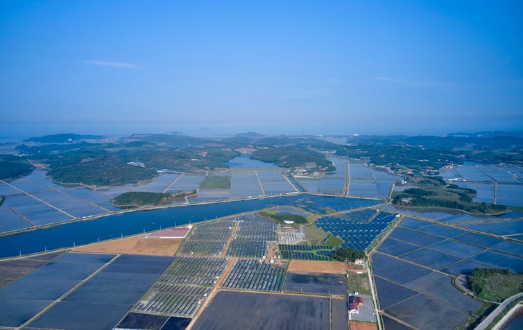 Aerial photo of rice fields and solar farms