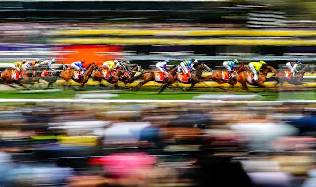 Horses race in the 2019 Melbourne Cup.