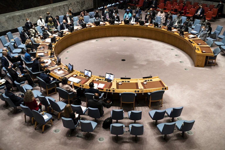 United Nations Security Council
