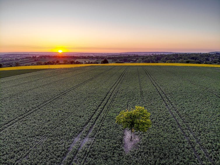 An aerial view of a field in England